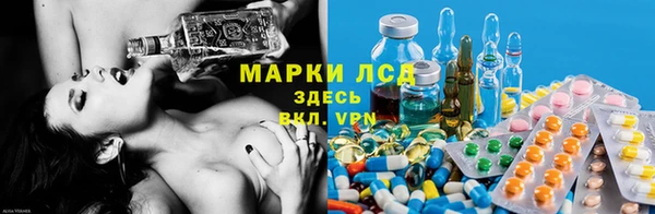 Альфа ПВП Белокуриха