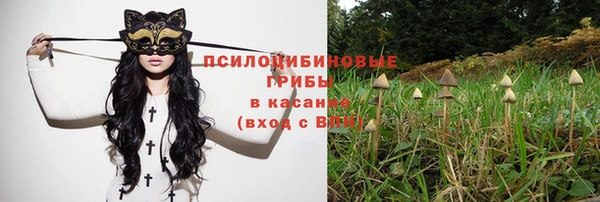 Альфа ПВП Белокуриха