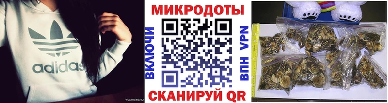 Галлюциногенные грибы GOLDEN TEACHER  Тимашёвск 